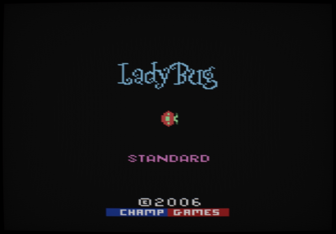 ladybug